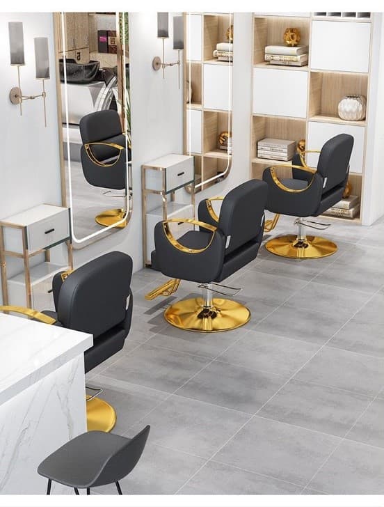 Unique Salon Chair